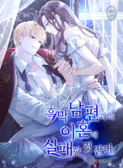 Divorce plan with husband failed