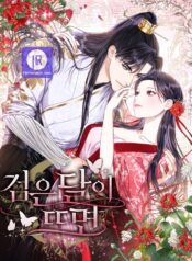 When the Black Moon Rises