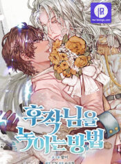 To Melt Your Frozen Heart